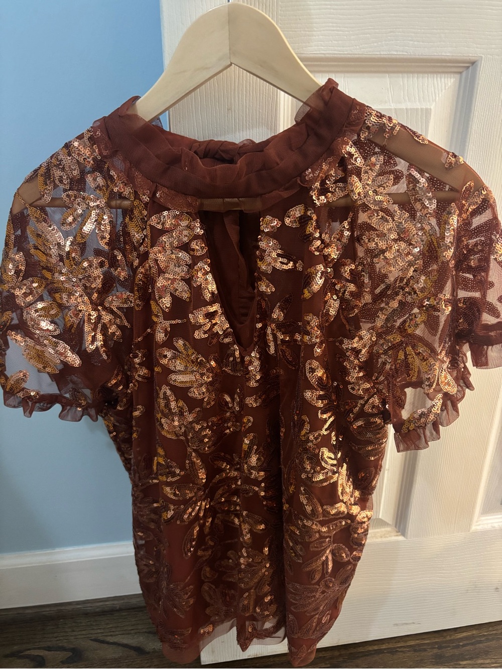 Anthropologie Medium Sheer Brown Sequin Top EUC